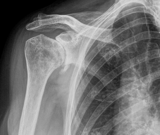 schermata-2017-02-10-alle-15-48-45